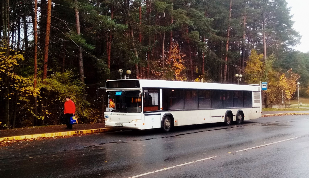 С 1 ноября вводится зимнее расписание автобусов в Сосновом Бору