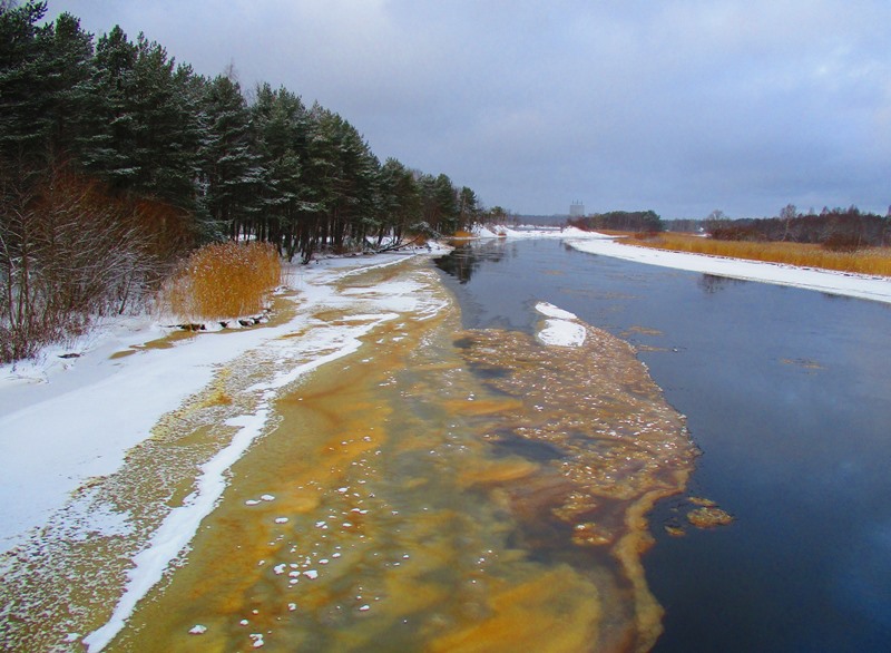 Очистка реки Коваш(и) может начаться уже в этом году