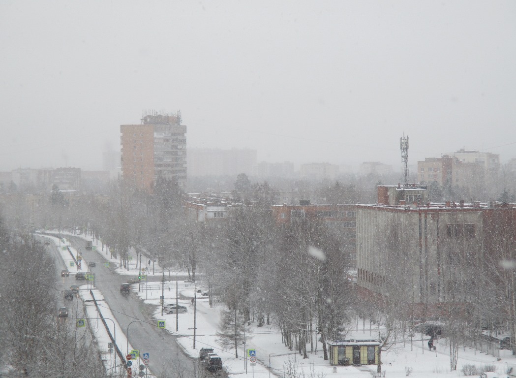 Фото Нины Князевой