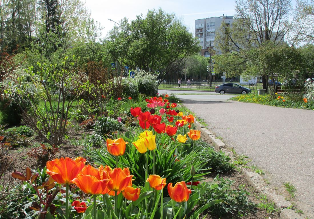 Фото Нины Князевой