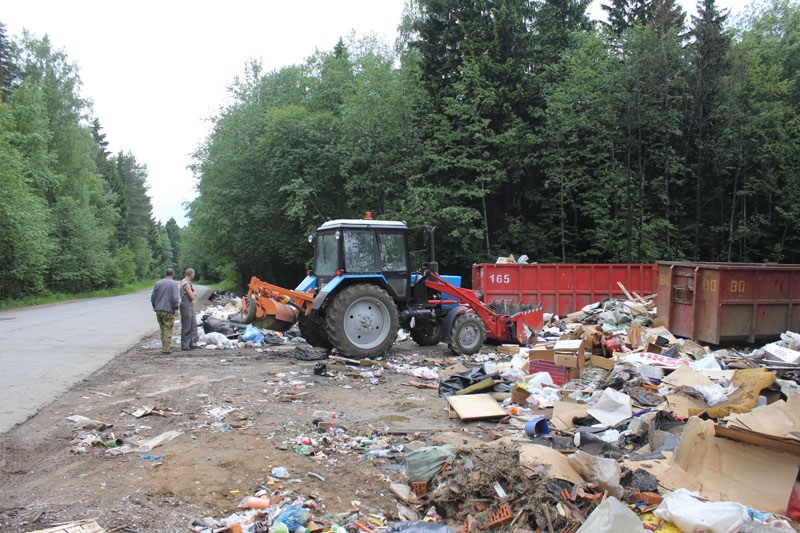 Все большие площадки общего пользования для сбора мусора в Сосновом Бору собираются ликвидировать