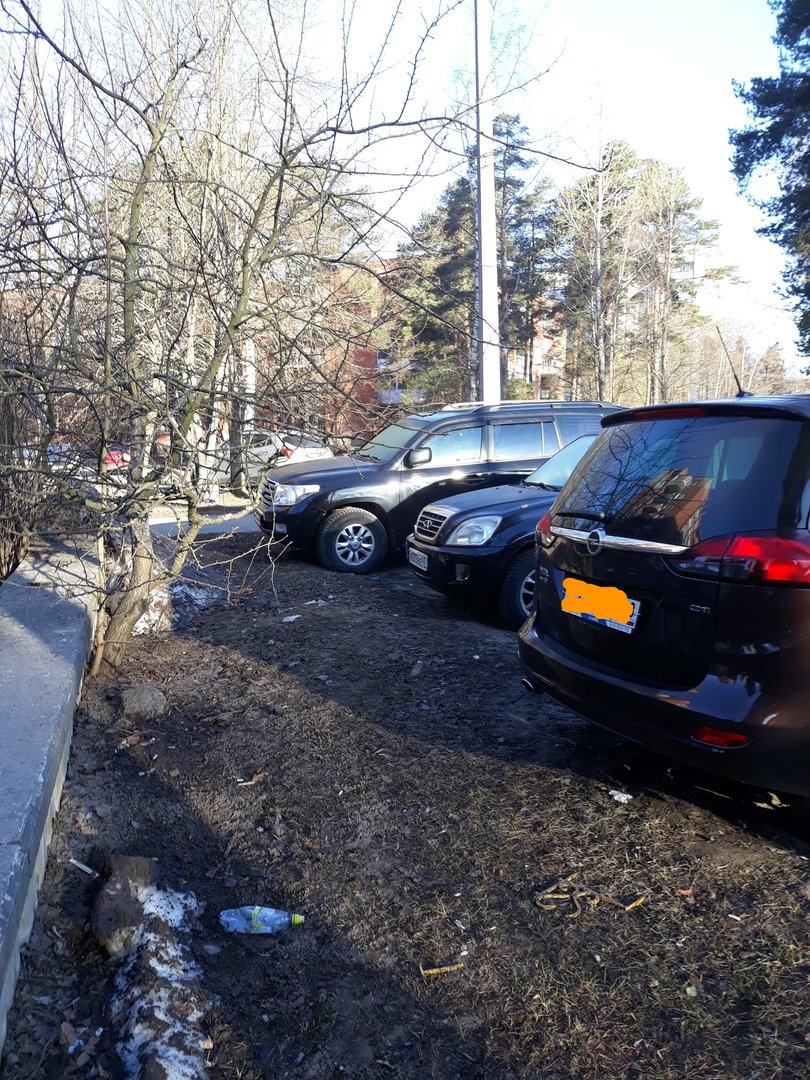 Парковка автомобилей на газонах в Сосновом Бору: что думают об этом жители
