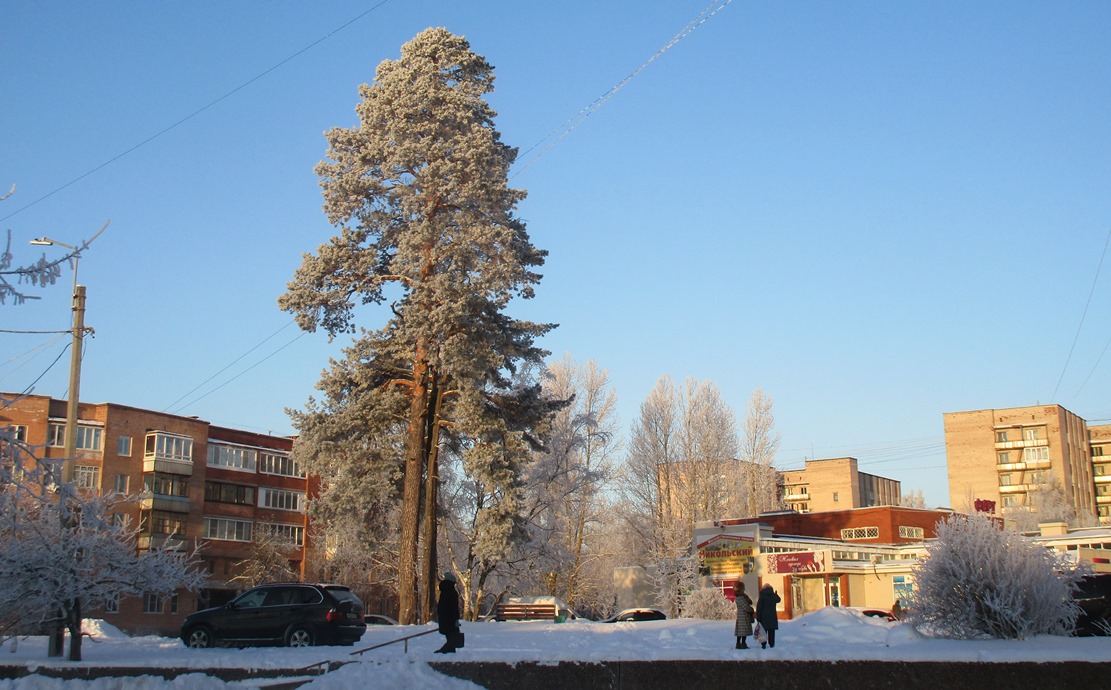 Погода сосновый бор ленинградская 14 дней