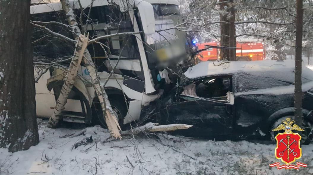 В Сосновом Бору произошло смертельное ДТП с участием рейсового автобуса и автомобиля