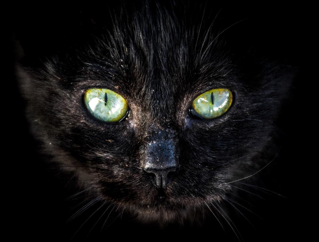 Фото: Unsplash