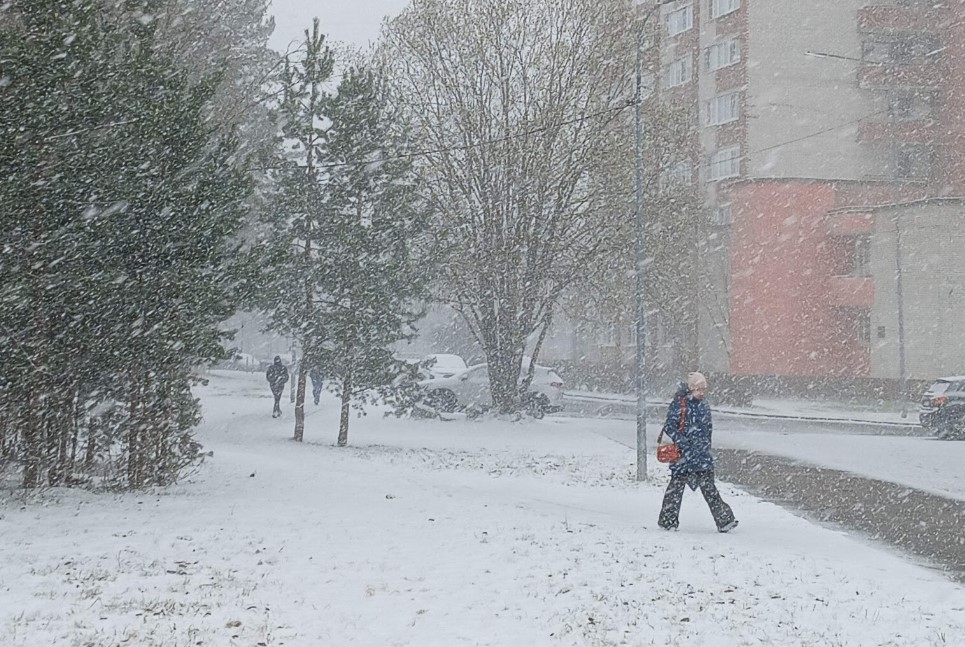 Снежный циклон принесет метель и гололед: погода в Ленобласти на три дня