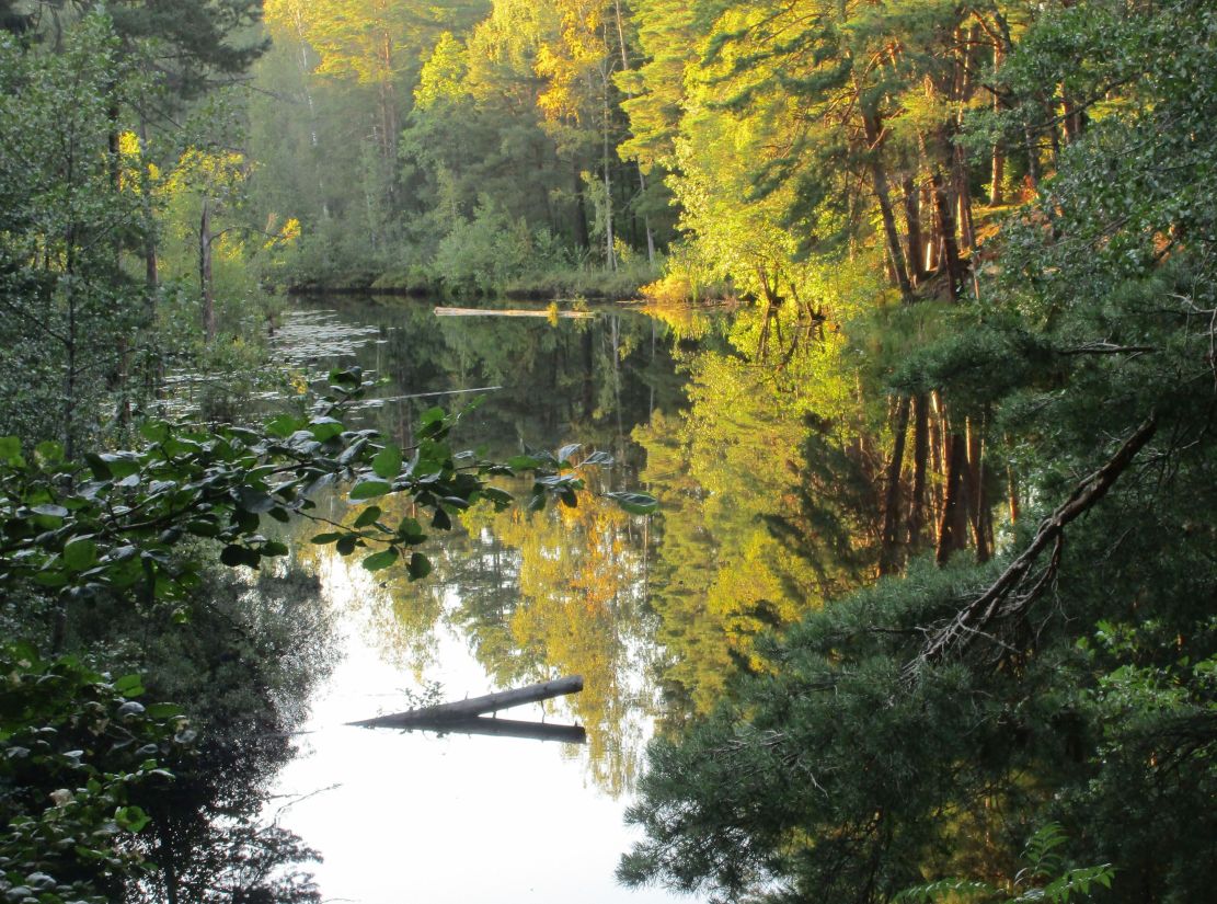 Фото Нины Князевой