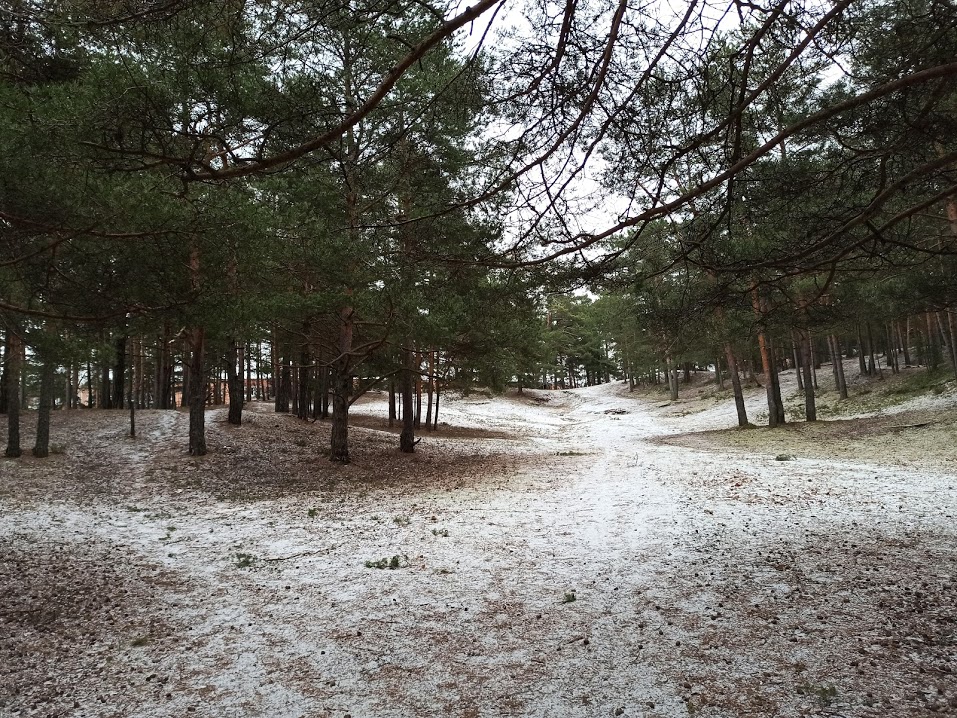 На выходных в Ленобласти будет снежно и морозно