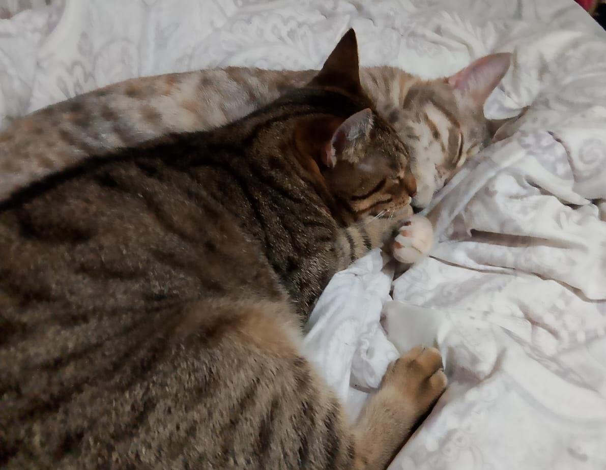 Они всё делают вместе: мама и дочка мечтают о доме