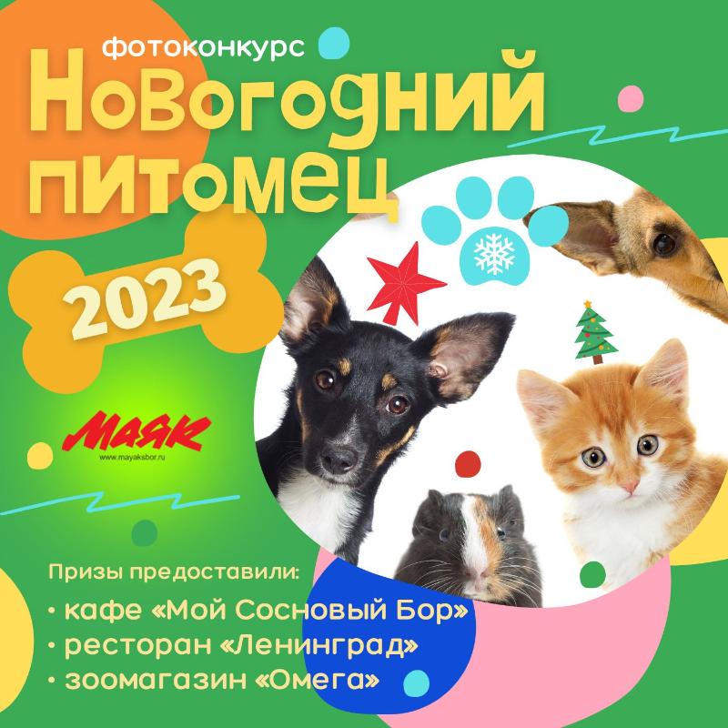 «Маяк» проводит фотоконкурс со вкусными призами «Новогодний питомец — 2023»