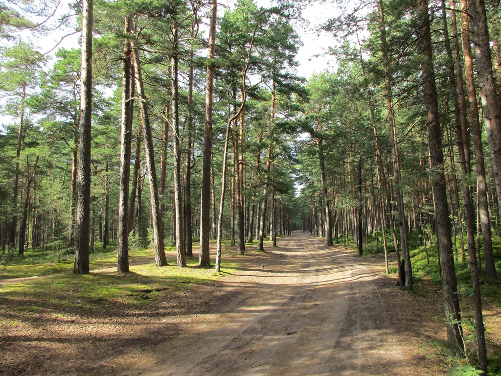 Фото Нины Князевой