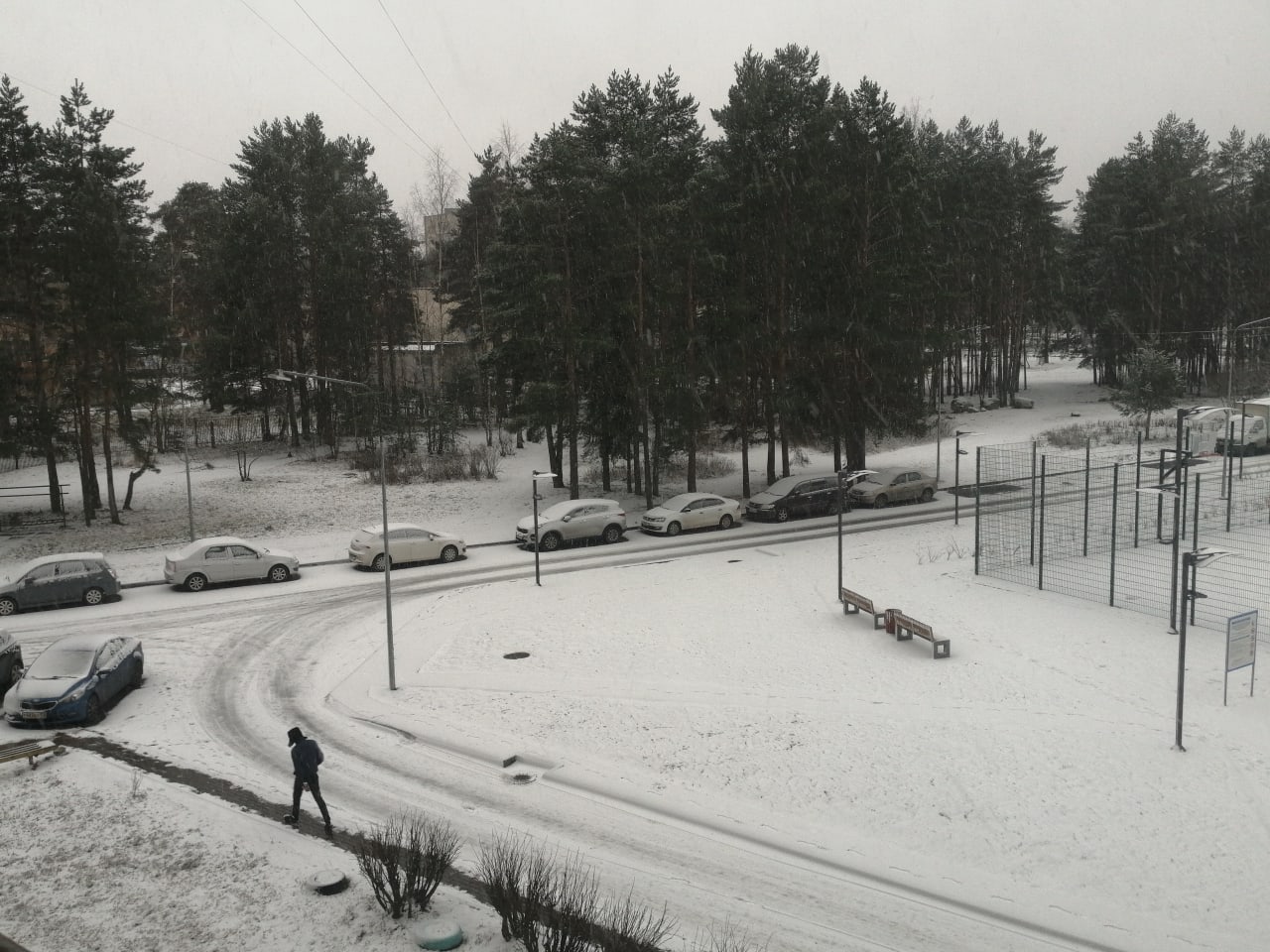 Погода в ленинградской сейчас. Сосновый Бор Ачинск зимой. Много ли сейчас за городом в Ленобласти снега. Бор лежащий.