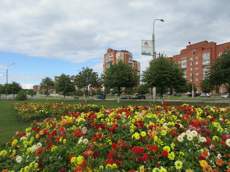 В Сосновом Бору за лето высадили 64 тысячи цветов