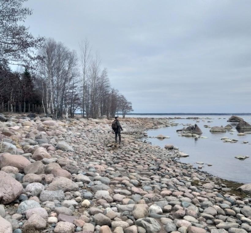 По берегу Финского залива: путешествие вокруг Устьинского мыса