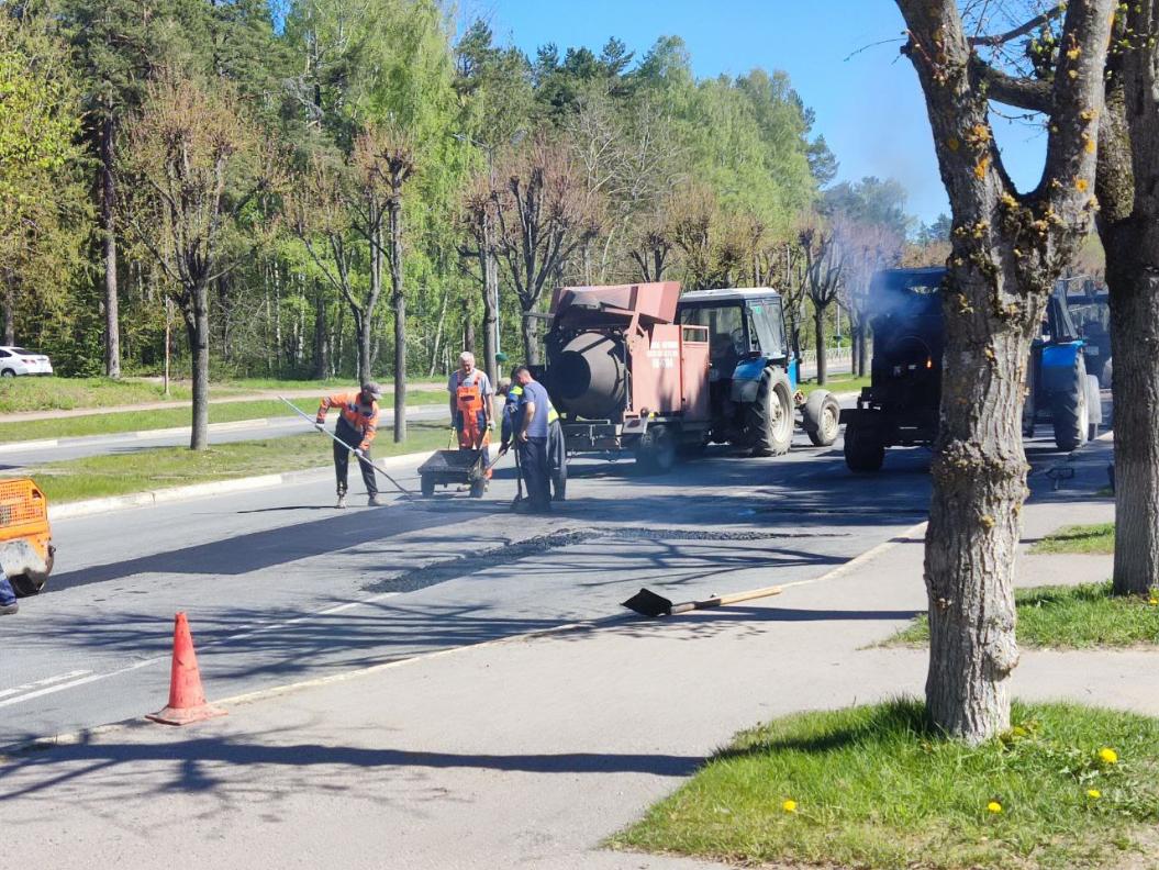 Косили траву, ремонтировали дороги и ухаживали за насаждениями в Сосновом  Бору | 29.05.2024 | Сосновый Бор - БезФормата