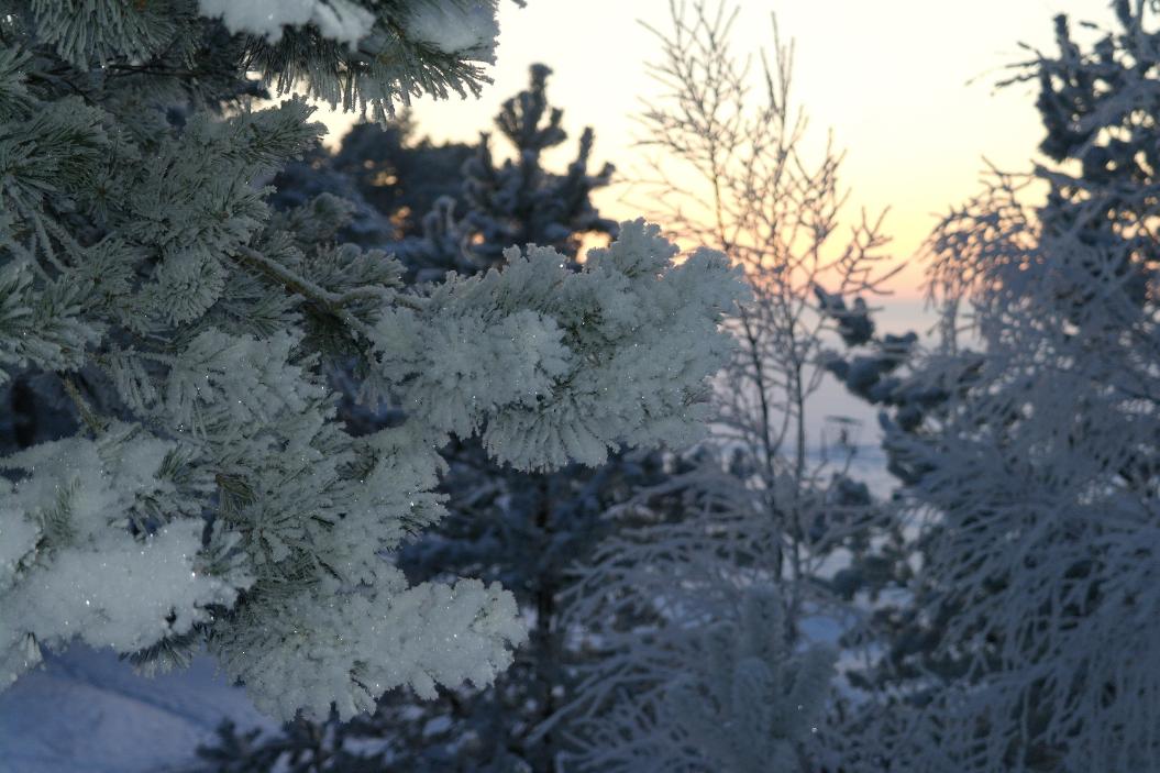 Фото: Нина Князева