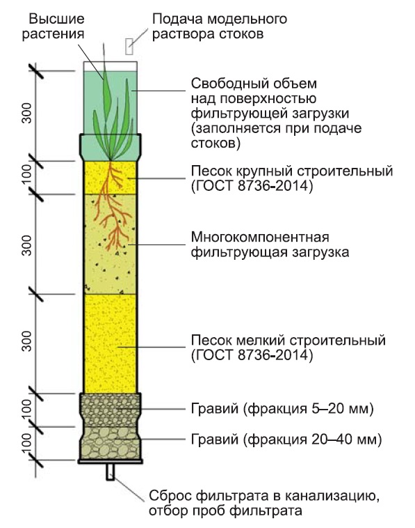 Схема дождевого сада