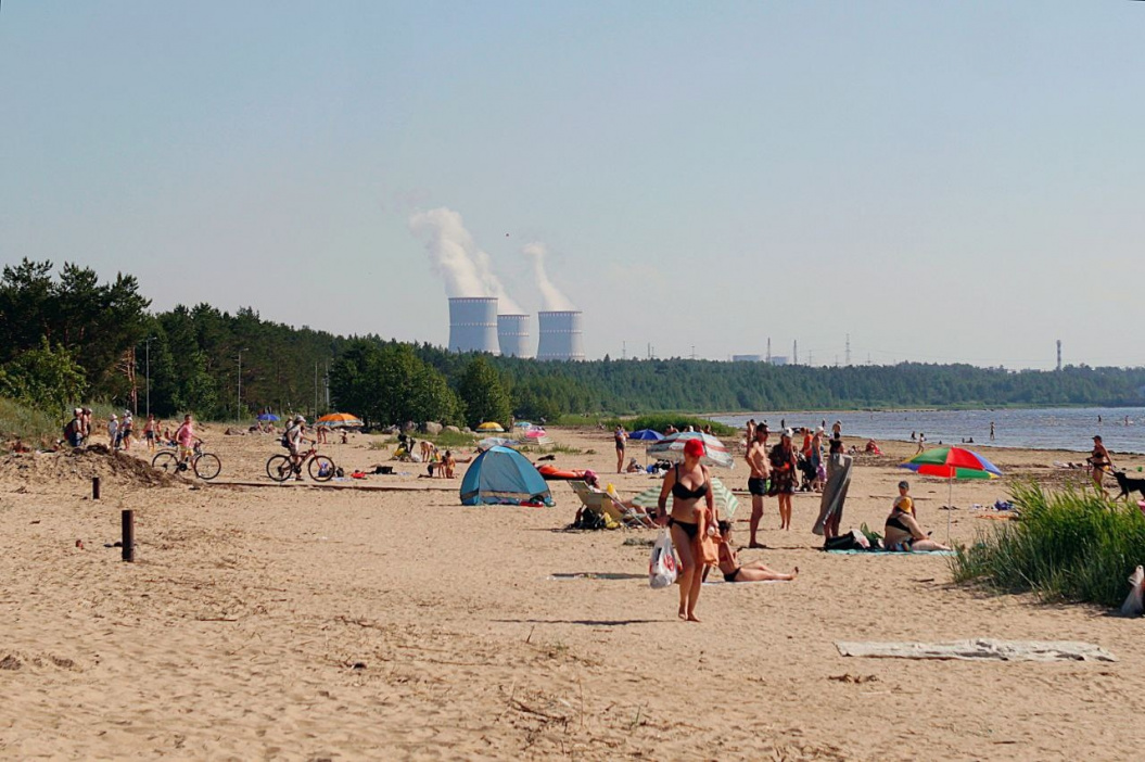 Пляжи в Сосновом Бору вошли в список разрешенных мест для купания в Ленобласти в 2025 году