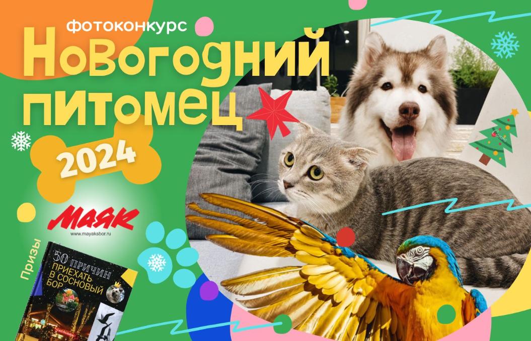  «Новогодний питомец — 2024». «Маяк» проводит ежегодный фотоконкурс с призами