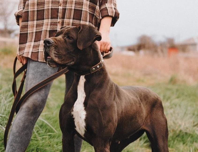 Маркиза из Сочи ищет свою семью