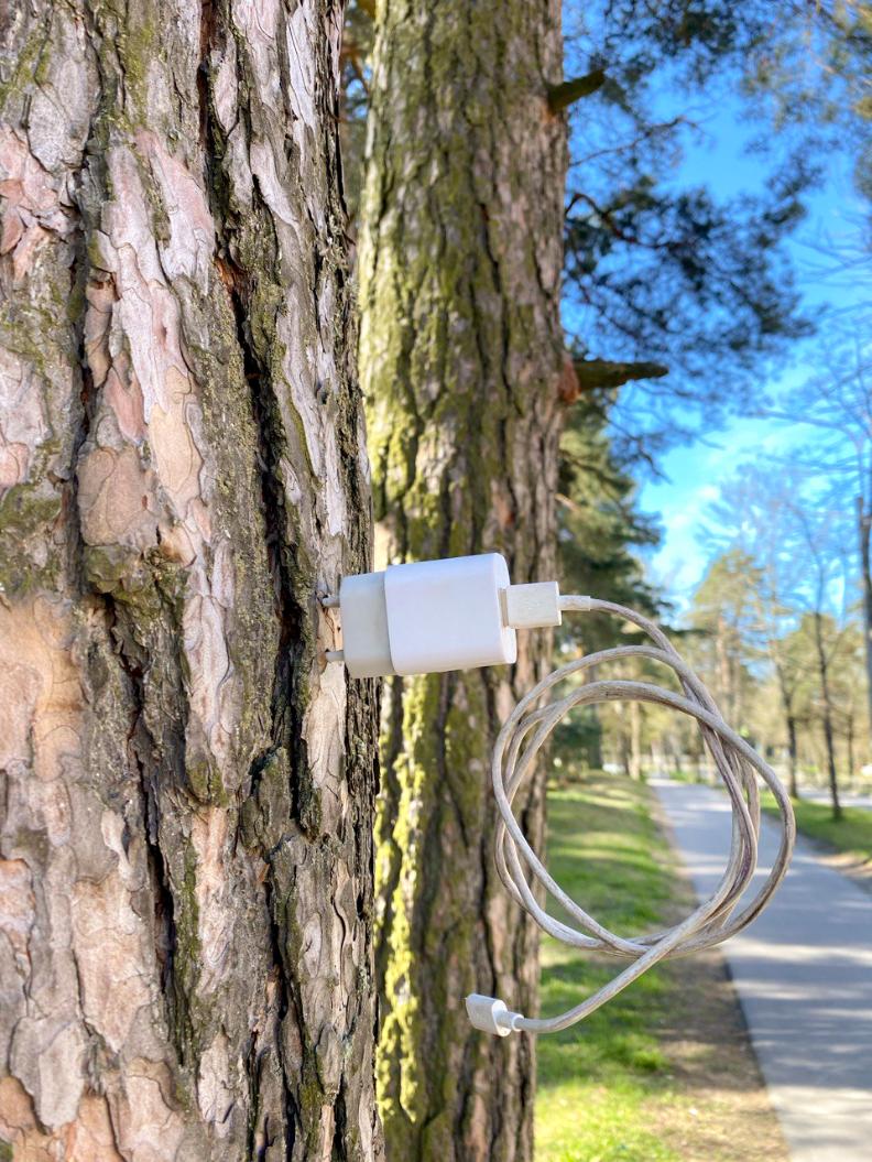 Фото: Анастасия Романова