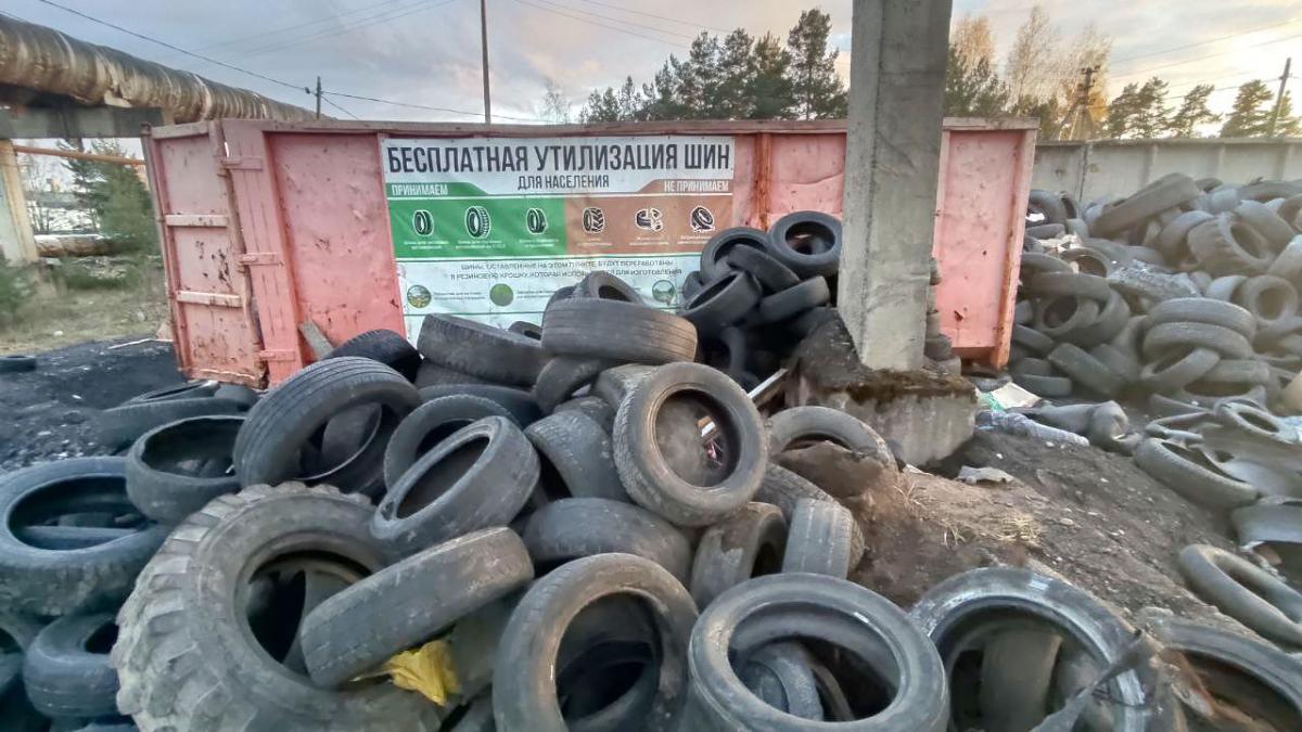 Фото: архив газеты 'Маяк'