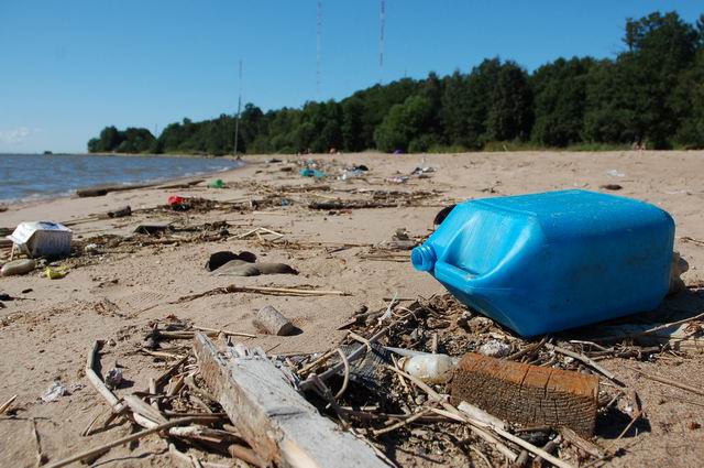 В Ломоносовском районе жители займутся очисткой берега Финского залива