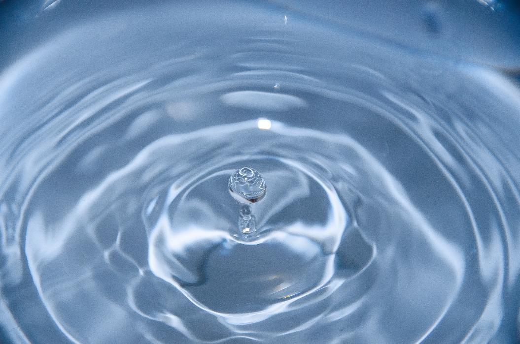 Фото: Unsplash