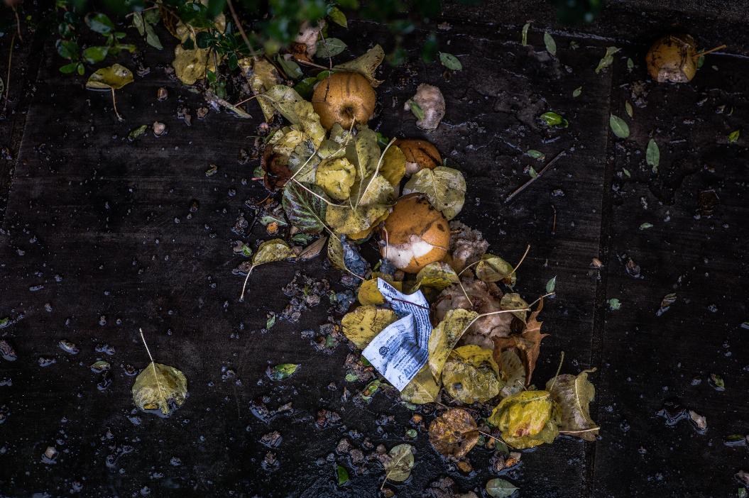 Фото: Unsplash