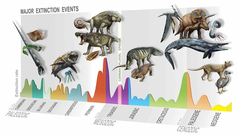 Краткое изложение основных событий вымирания во времени, освещающих новый, Карнианский Плювиальный эпизод 233 миллиона лет назад. Источник: D. Bonadonna/ MUSE, Тренто