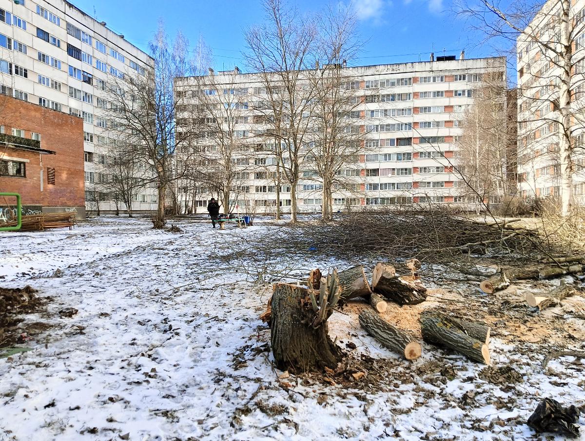 На улице Молодежной в Сосновом Бору началось благоустройство двора-колодца