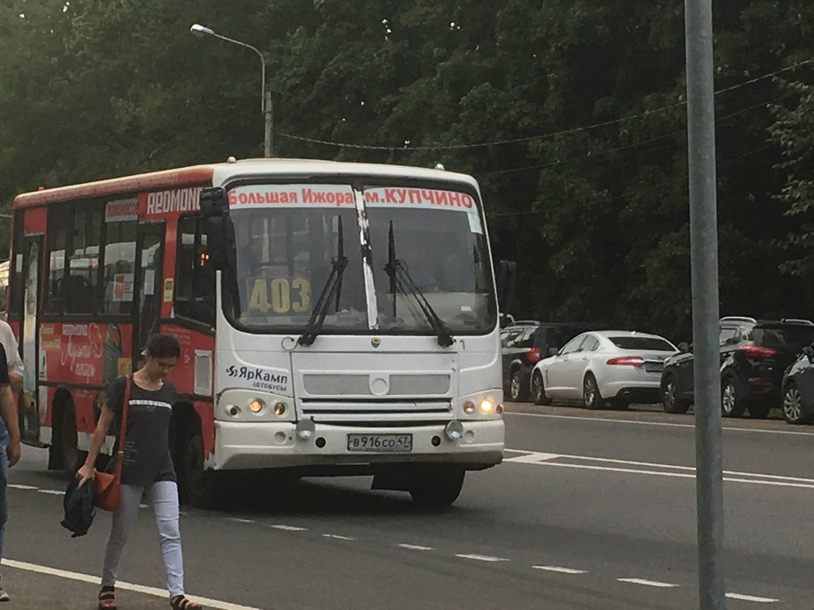 Автобус №403 до Купчино начнет ходить из Соснового Бора
