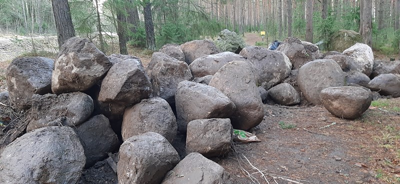 Как пляжи в Сосновом Бору защищают от заезда машин 