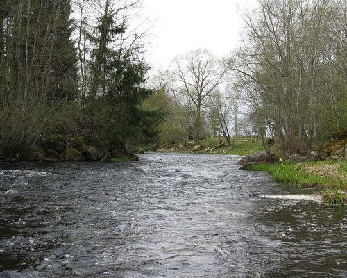 Рыбака, пропавшего неделю назад в реке Оредеж, нашли мертвым