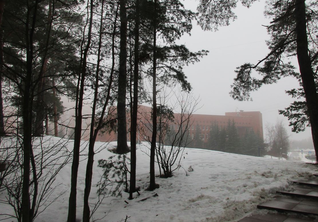 Фото Нины Князевой