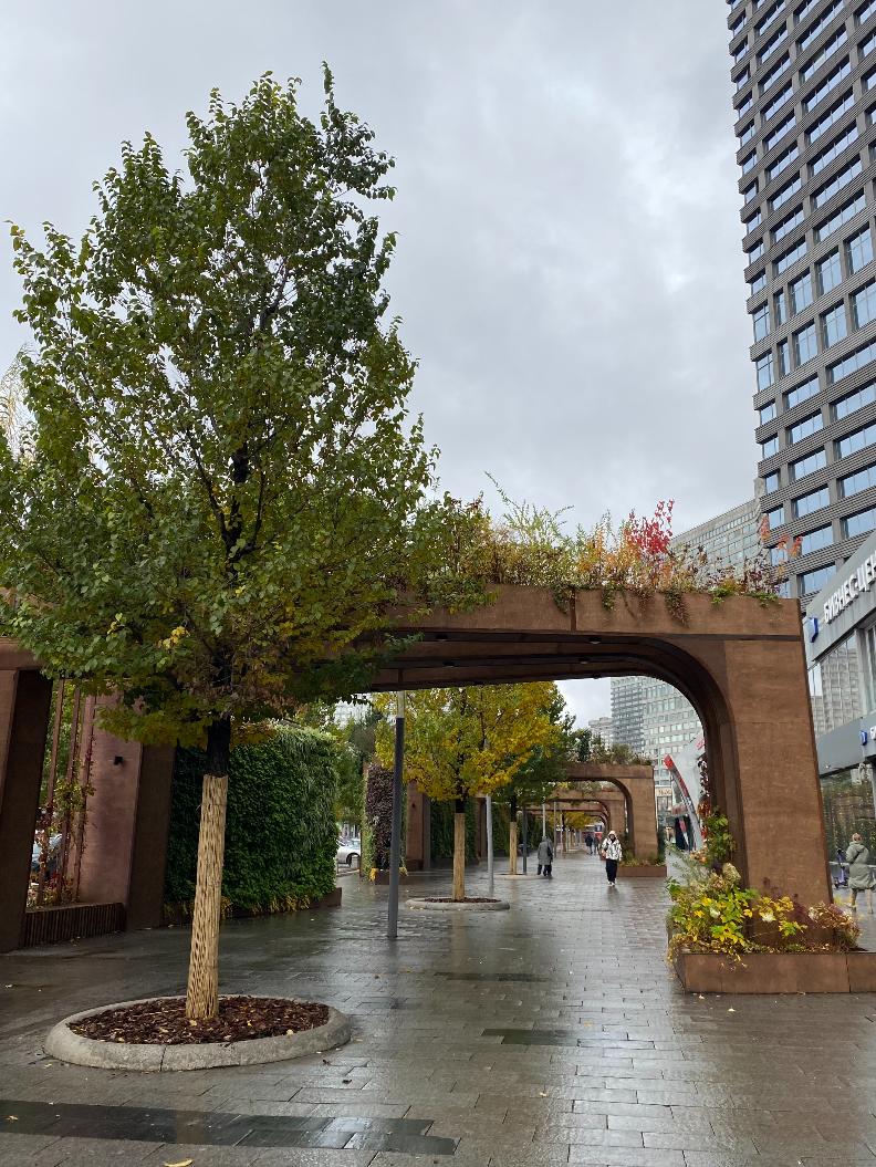 Фото: Анастасия Романова