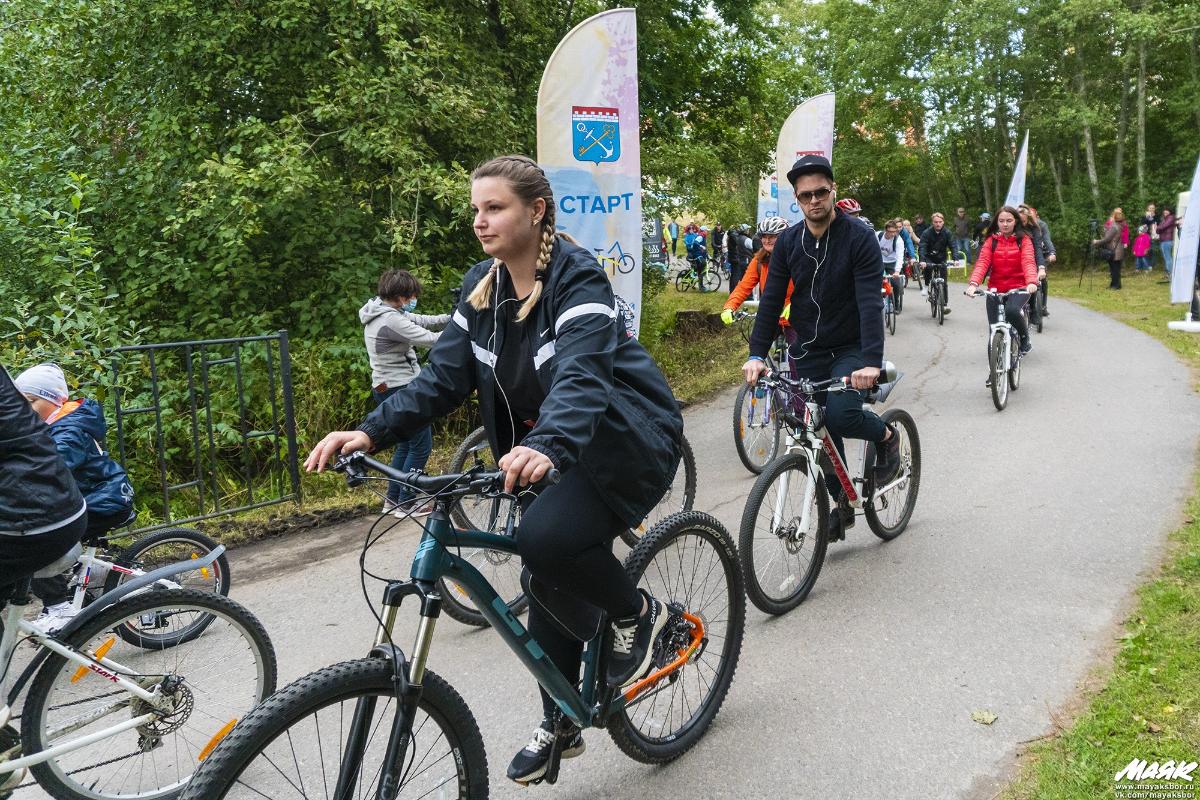 В Сосновом Бору 7 июня пройдет областной велофестиваль «ВЕЛО 47». Программа праздника