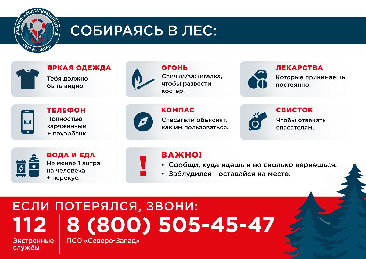Сезон тихой охоты открыт: спасатели напоминают, как не стать пропавшим без вести