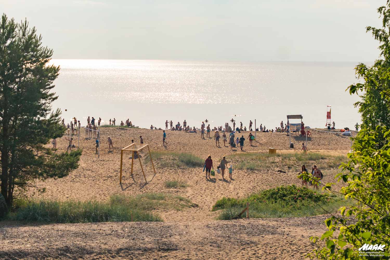 Специалисты назвали пять лучших пляжей Ленобласти. Один из них оказался сосновоборским