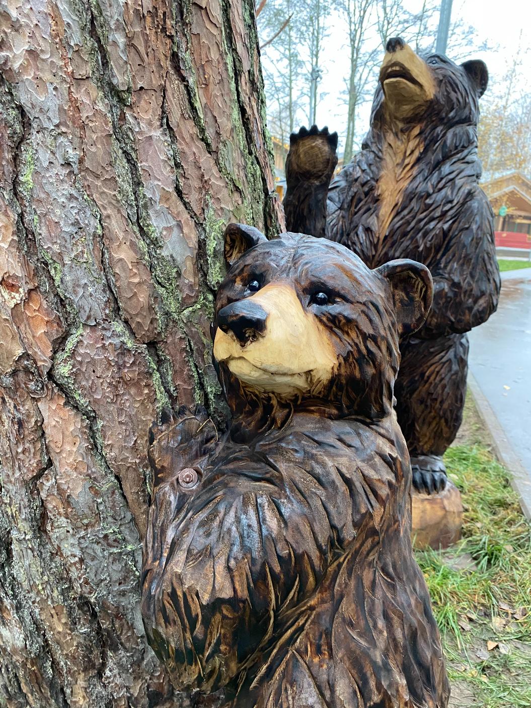 Фото: Анастасия Романова / Газета «Маяк»