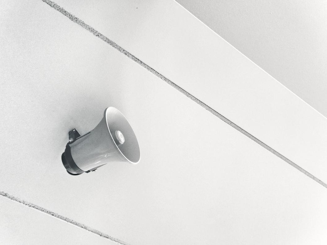 Фото: Unsplash