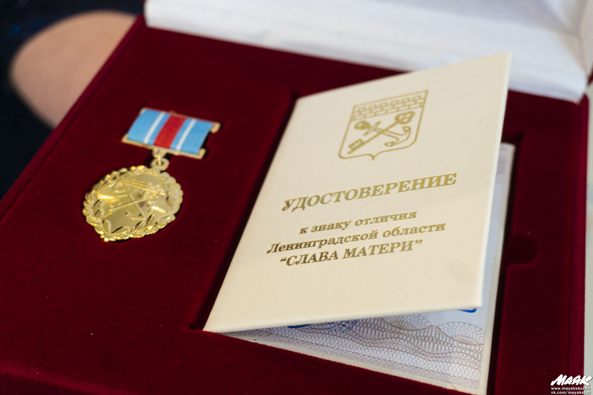 От многодетных семей Соснового Бора ждут заявки на награждение знаками отличия