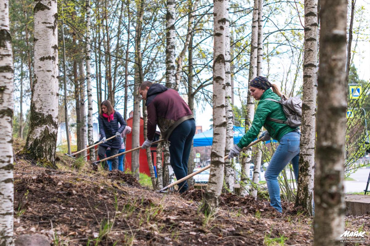 Субботники в Сосновом Бору добавили на интерактивную карту. Как присоединиться к общегородской акции