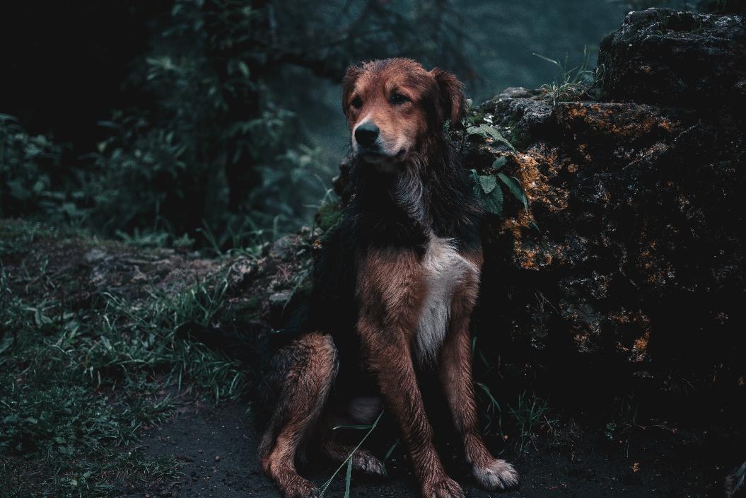 Фото: Unsplash