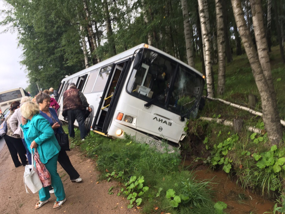 В Сосновом Бору автобус с пассажирами улетел в кювет в районе ЛАЭС