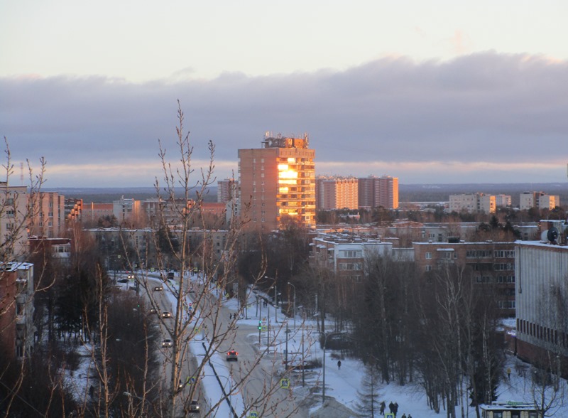 Сколько получают работники в Сосновом Бору и сколько – в других районах Ленинградской области