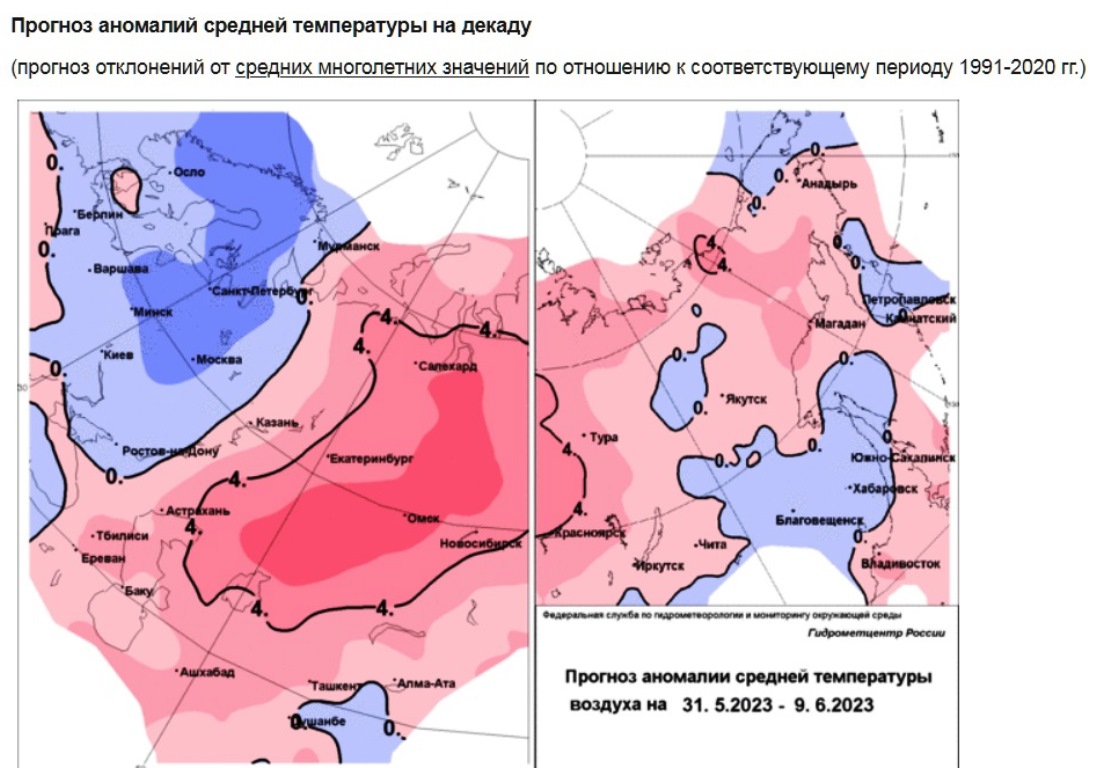 Аномально холодная первая декада июня ожидается в Петербурге и Ленобласти