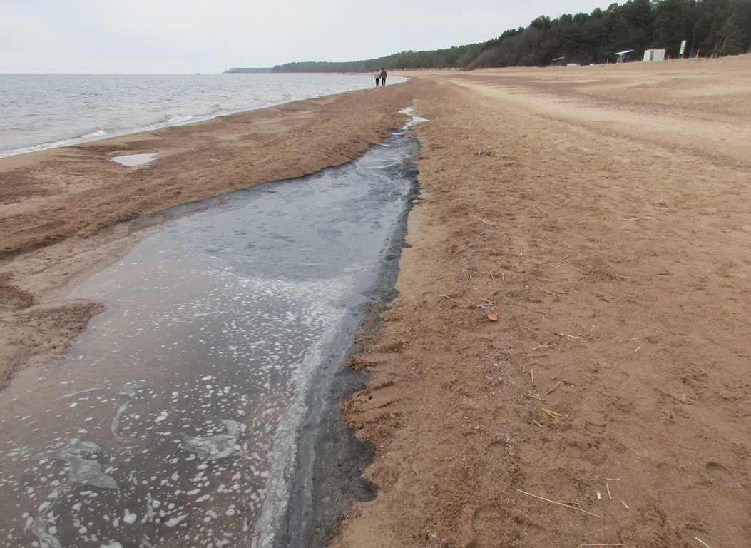 "Разлива нефти не зафиксировано" - эконадзор разбирается с загрязнением на берегу Финского залива