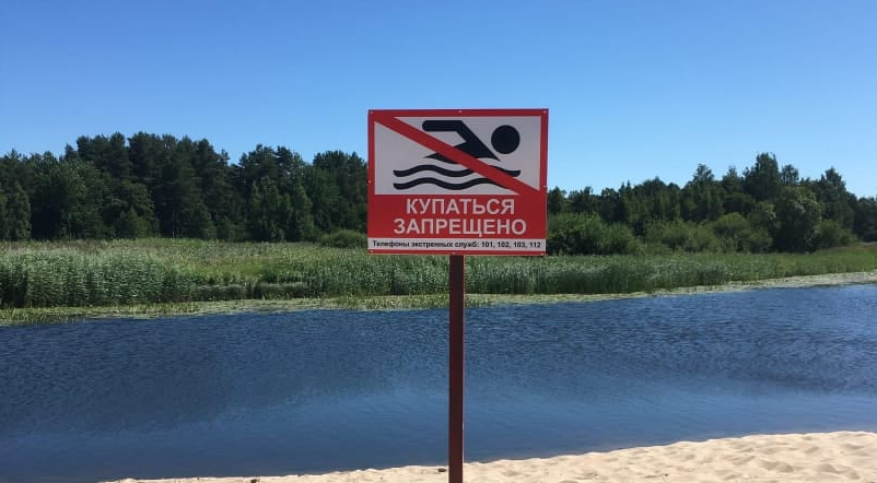 СЭС: вода на городском пляже в Сосновом Бору не отвечает санитарным требованиям