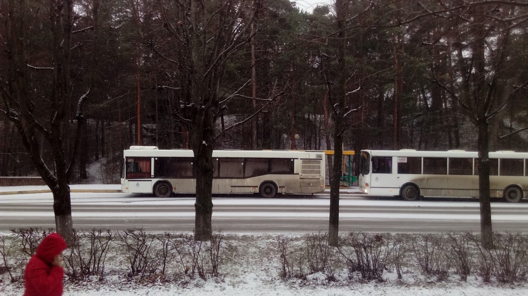 Стоимость проезда в автобусах Соснового Бора могут повысить до 38 рублей